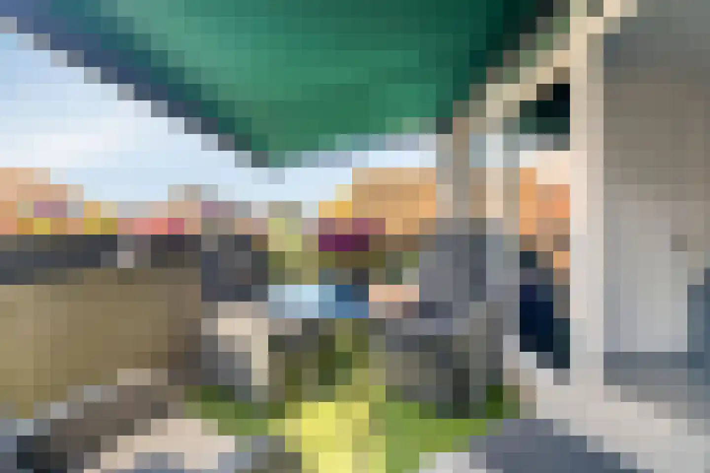Burgemeester Geillstraat 2 Terneuzen thumbnail 38