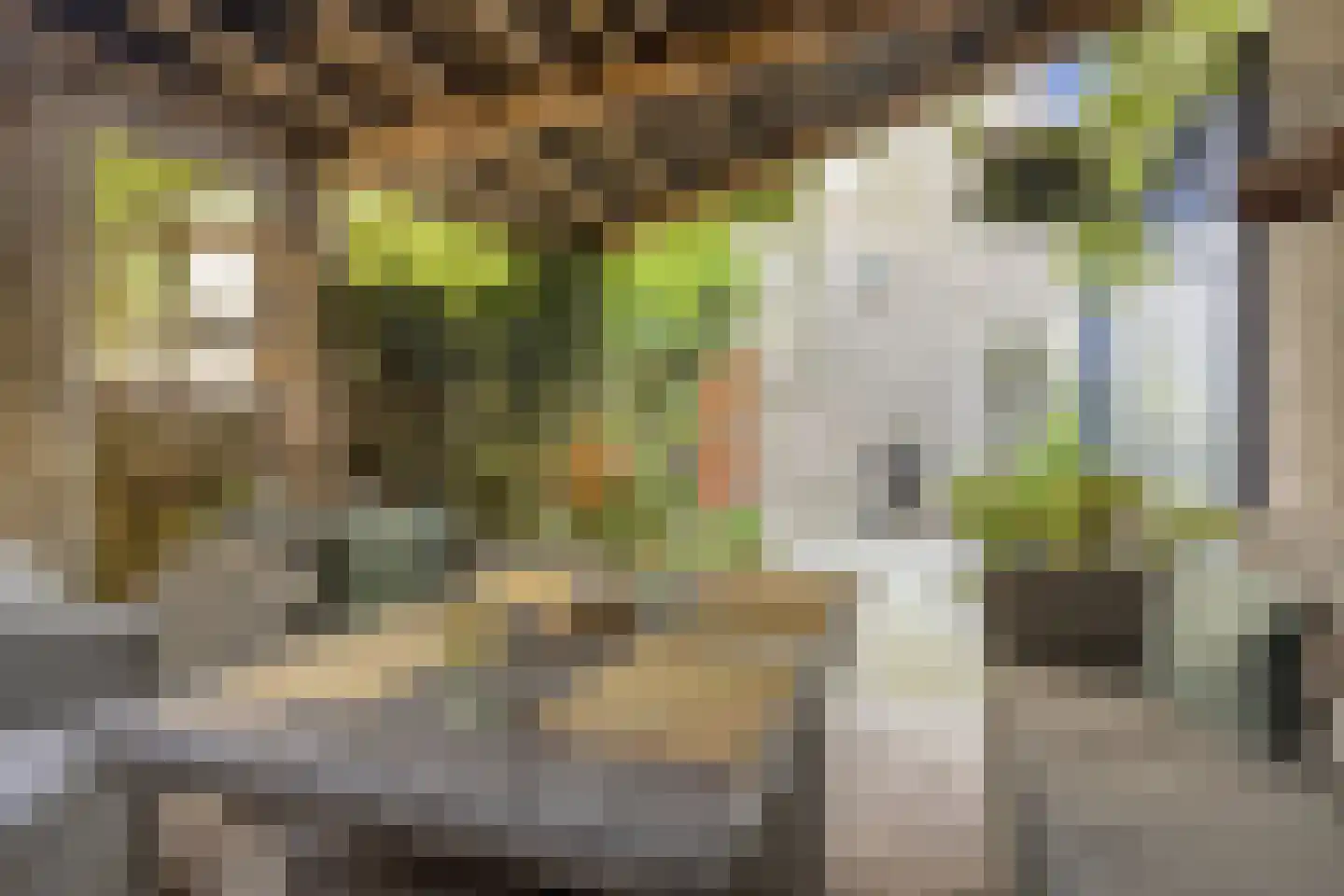 Burgemeester Geillstraat 2 Terneuzen thumbnail 39