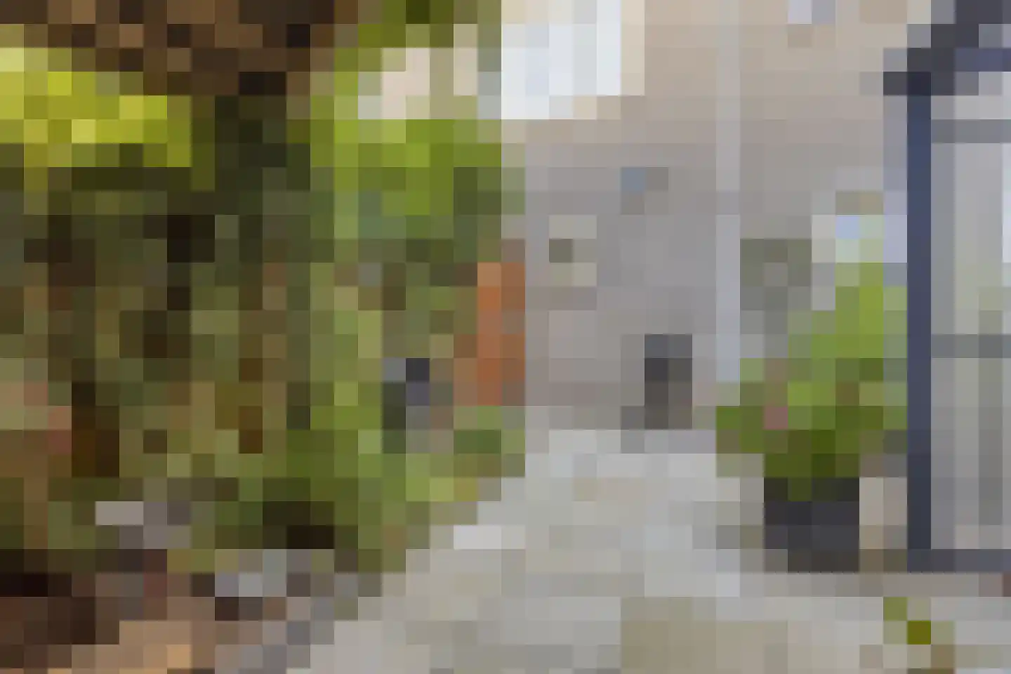 Burgemeester Geillstraat 2 Terneuzen thumbnail 41