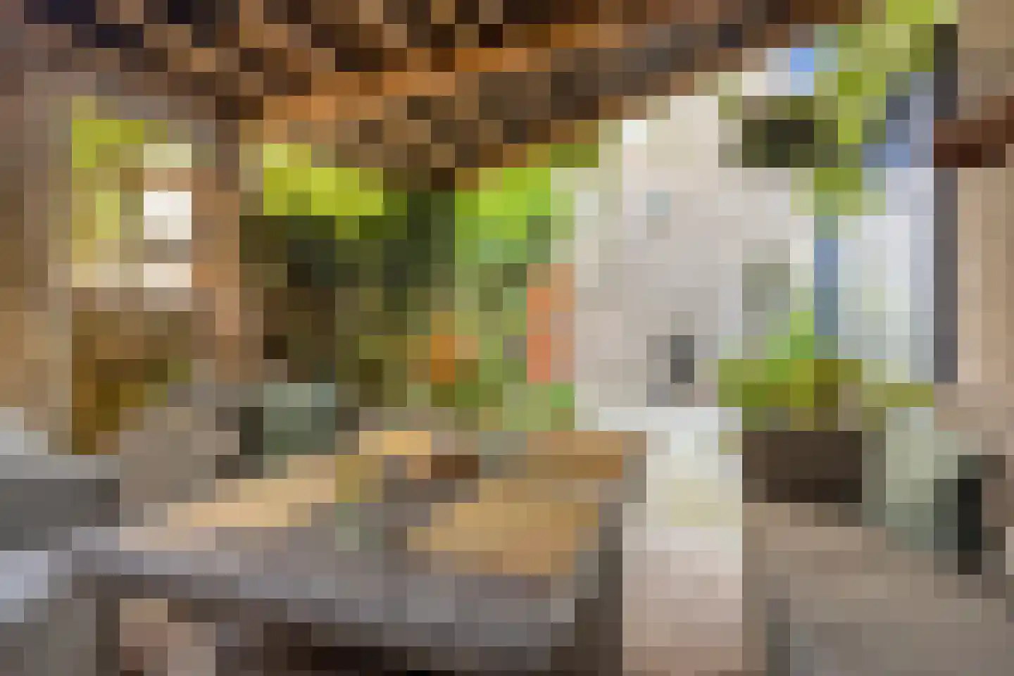 Burgemeester Geillstraat 2 Terneuzen thumbnail 42
