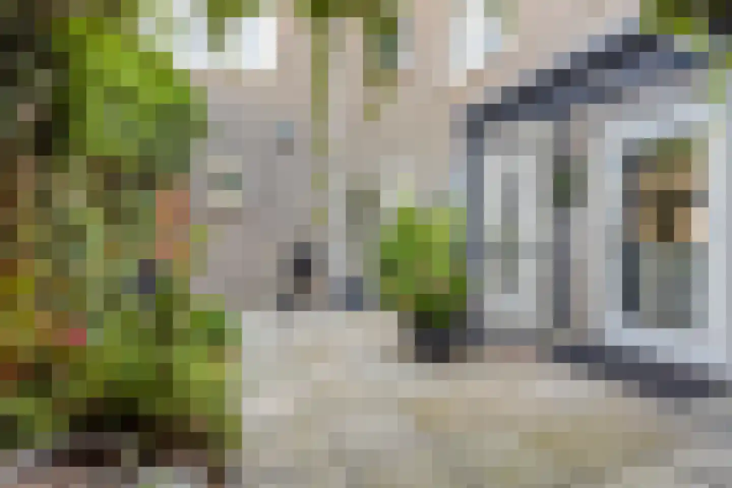Burgemeester Geillstraat 2 Terneuzen thumbnail 43