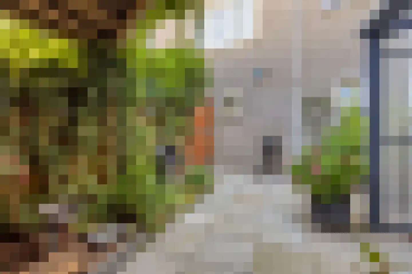 Burgemeester Geillstraat 2 Terneuzen thumbnail 44
