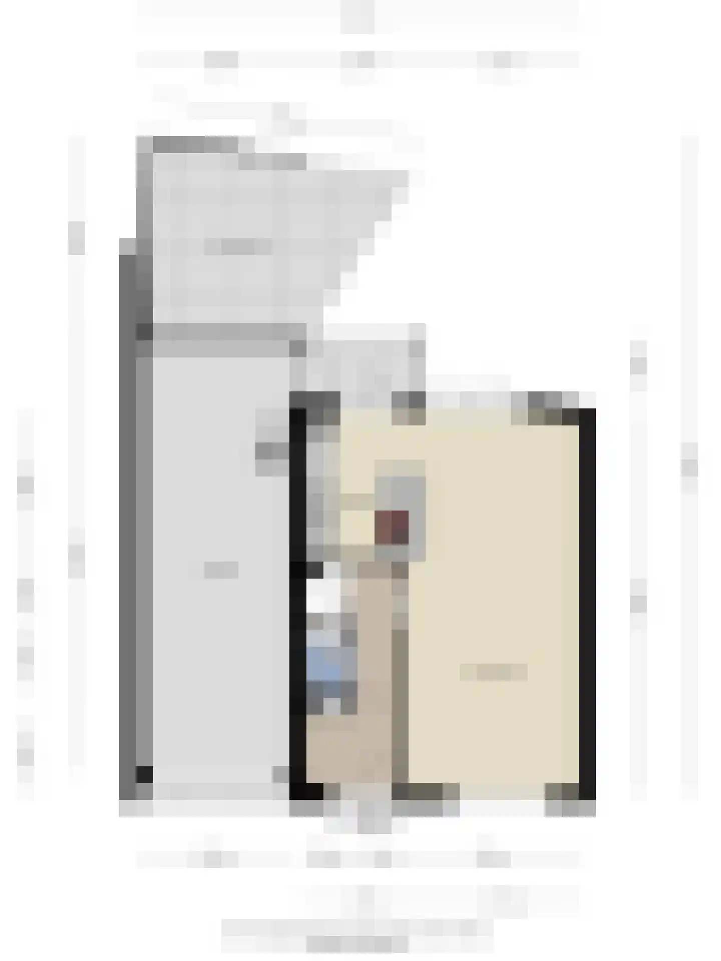 Burgemeester Geillstraat 2 Terneuzen thumbnail 44