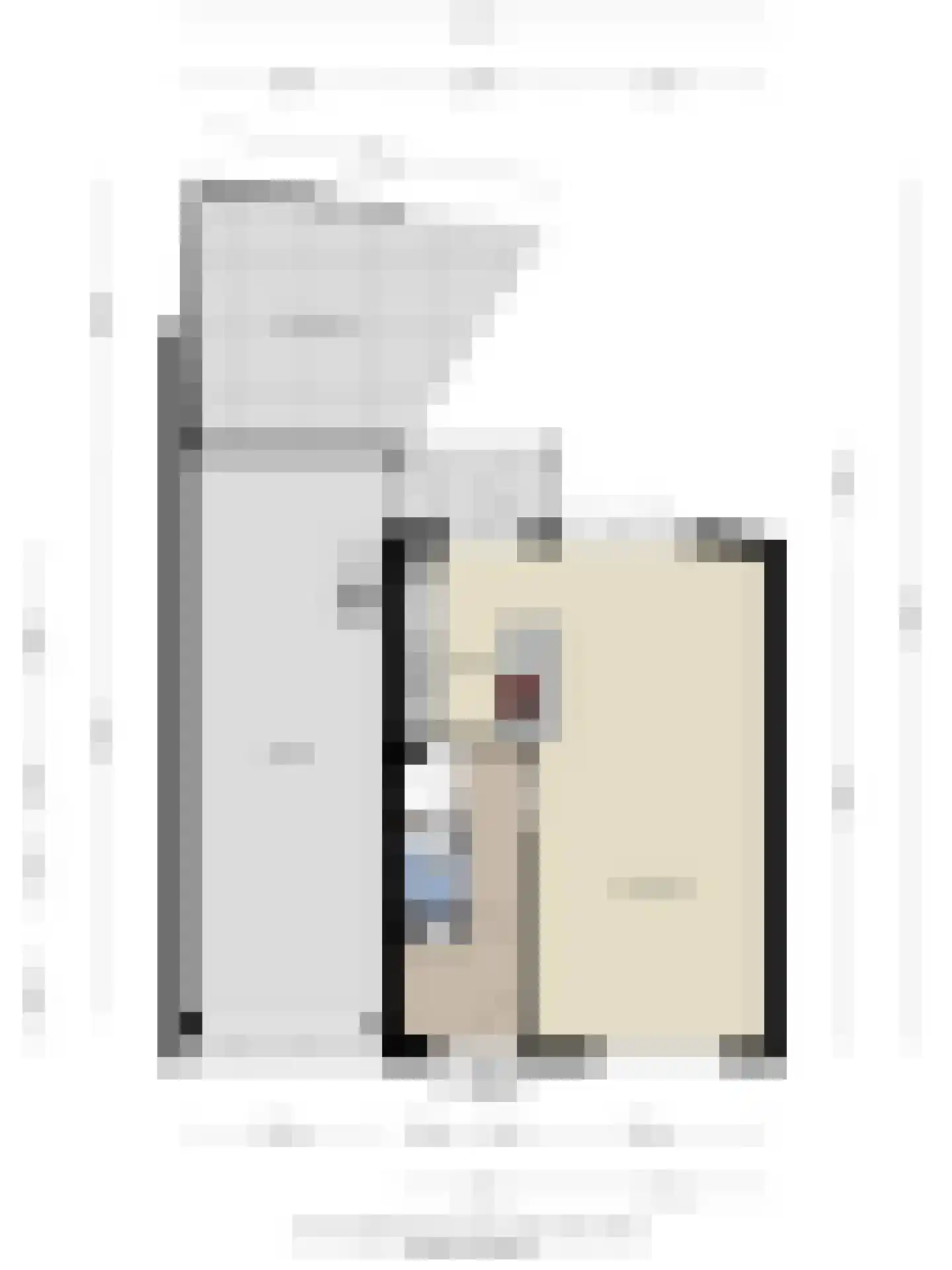 Burgemeester Geillstraat 2 Terneuzen thumbnail 48