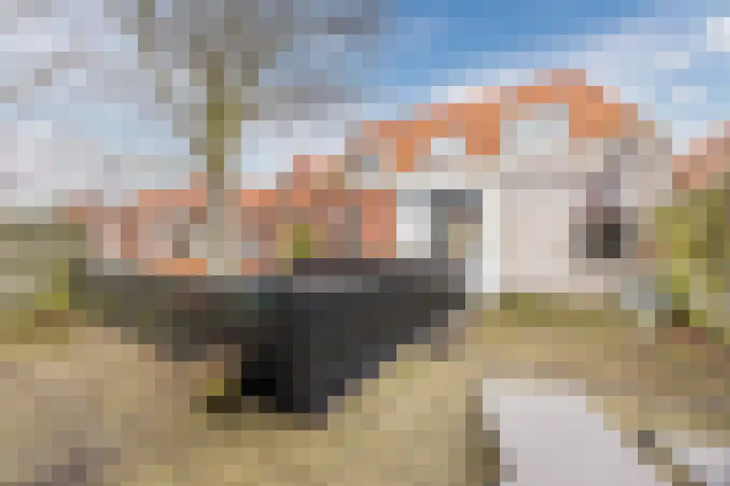 Burgemeester Geillstraat 36 Terneuzen thumbnail 46