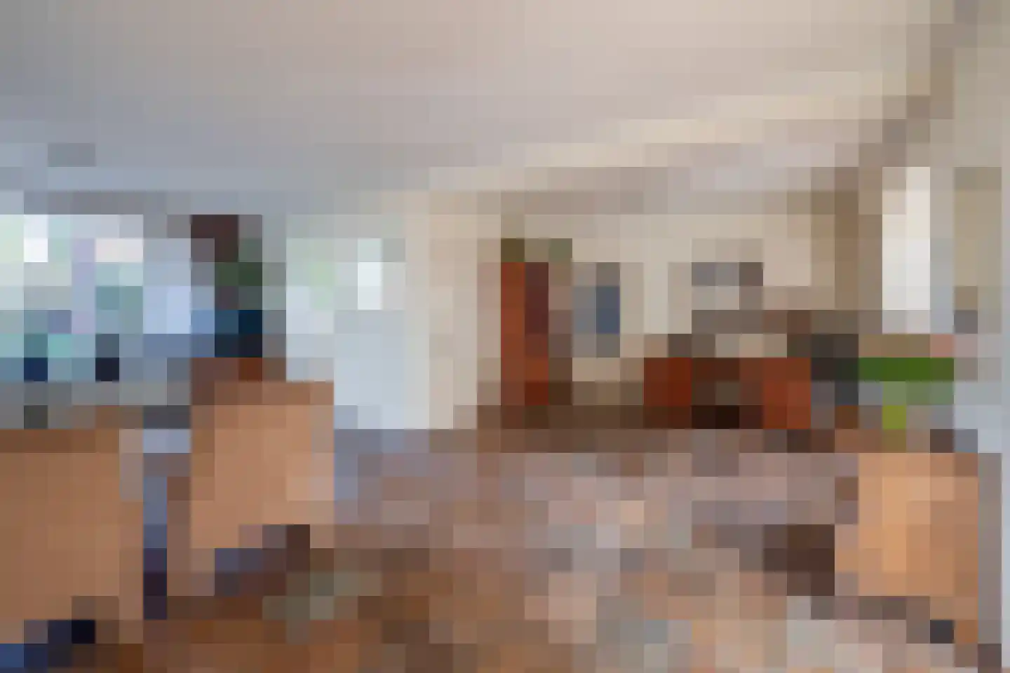Burgemeester Gescherstraat 3 Waspik thumbnail 12