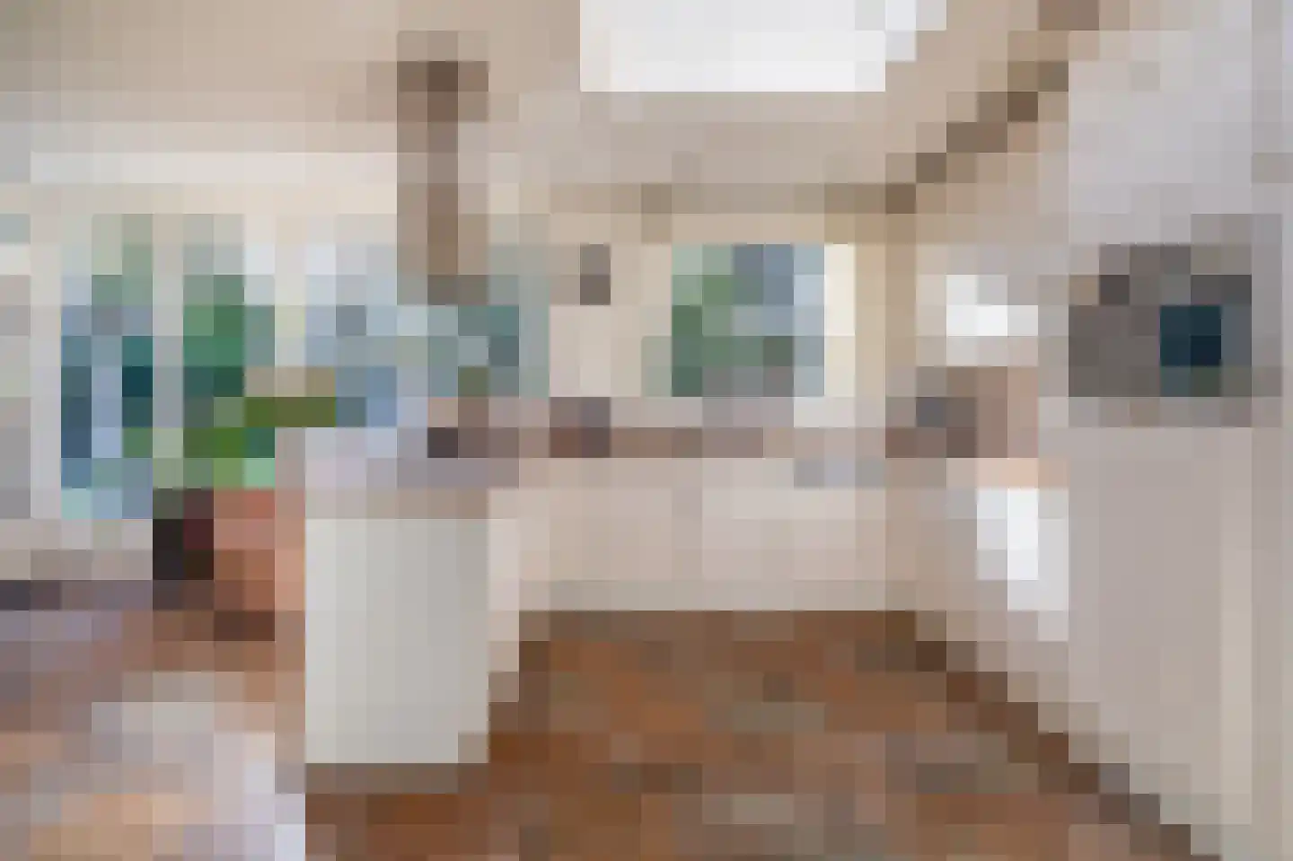 Burgemeester Gescherstraat 3 Waspik thumbnail 13