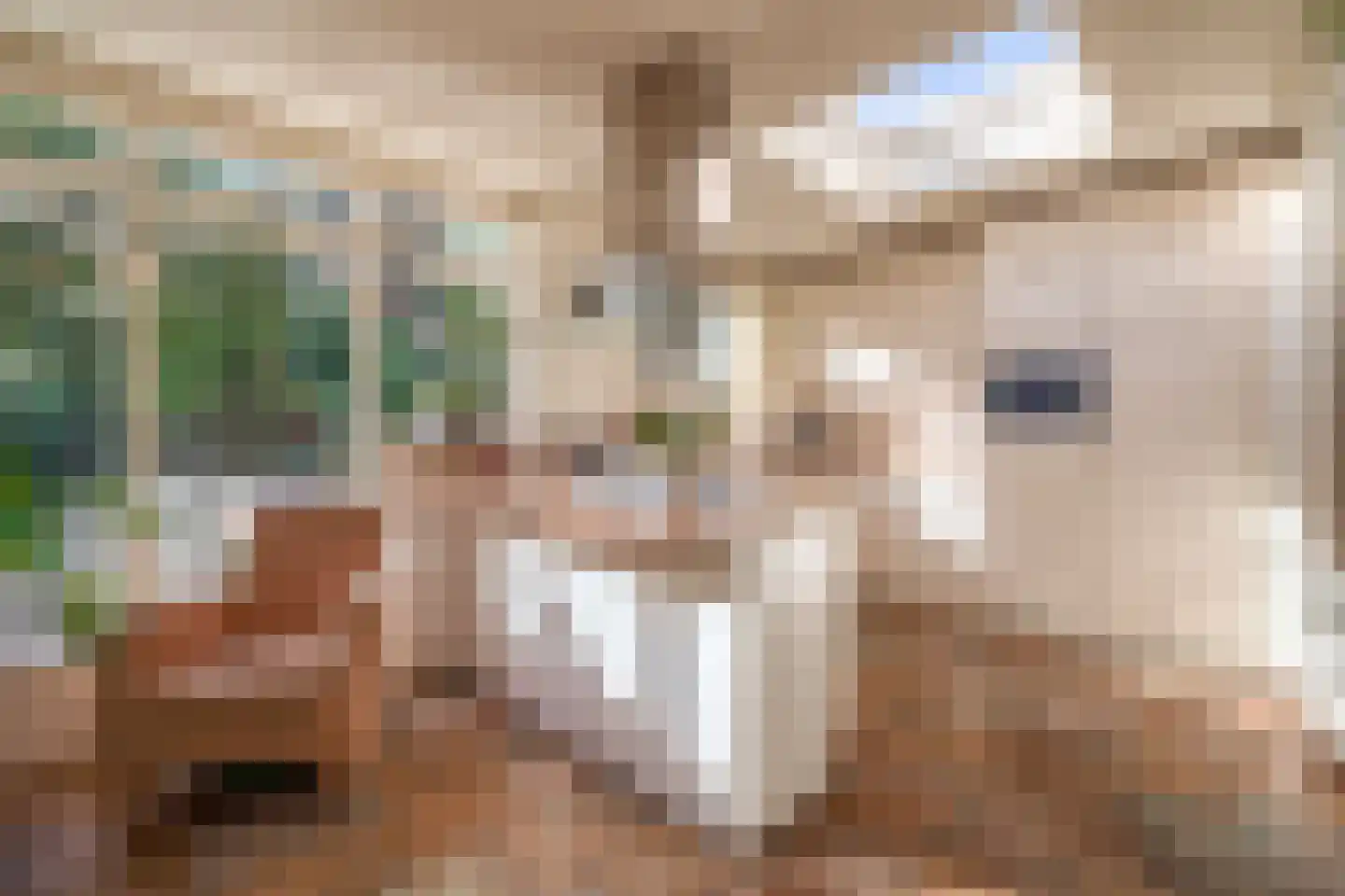 Burgemeester Gescherstraat 3 Waspik thumbnail 14