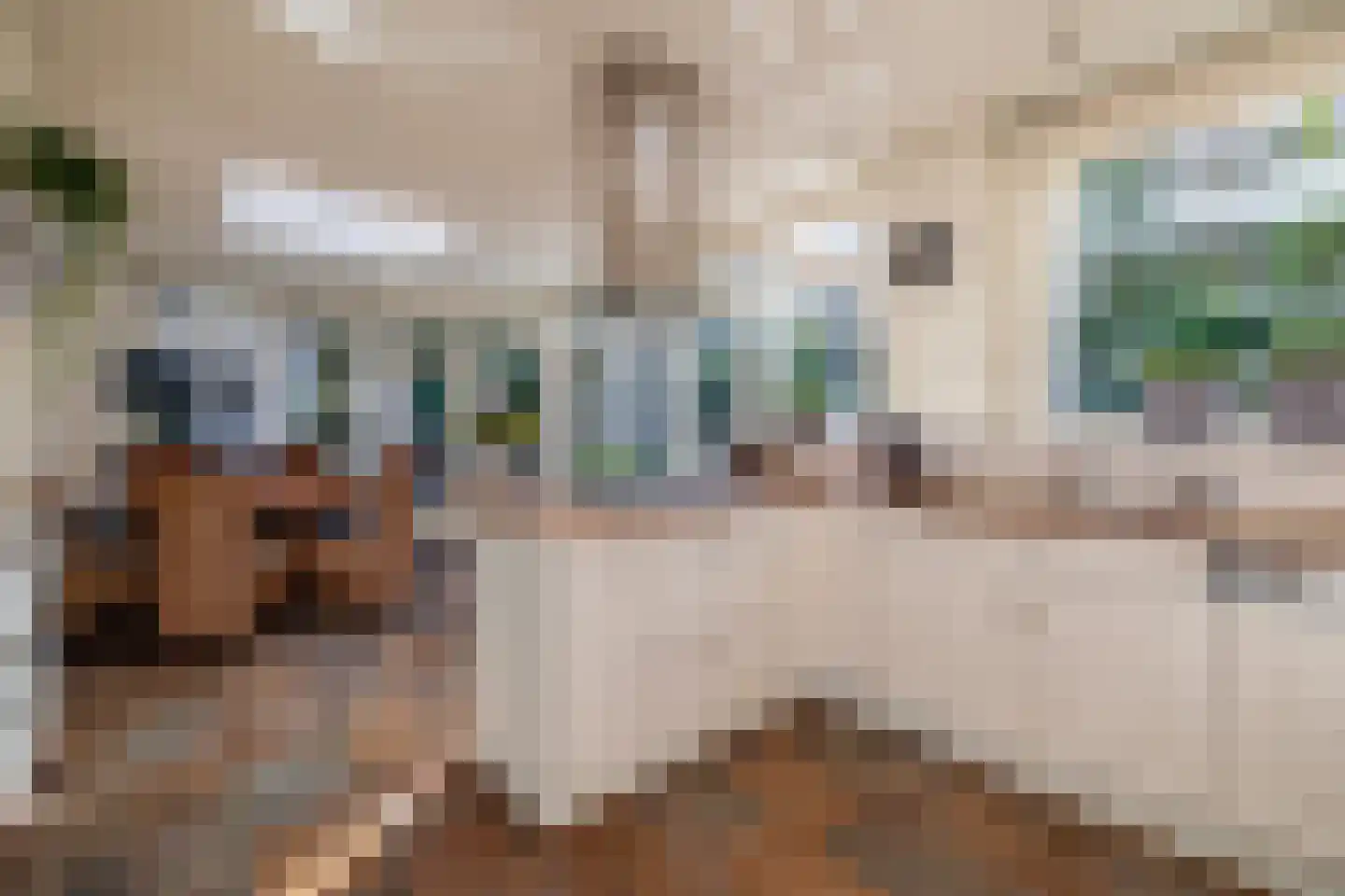 Burgemeester Gescherstraat 3 Waspik thumbnail 15