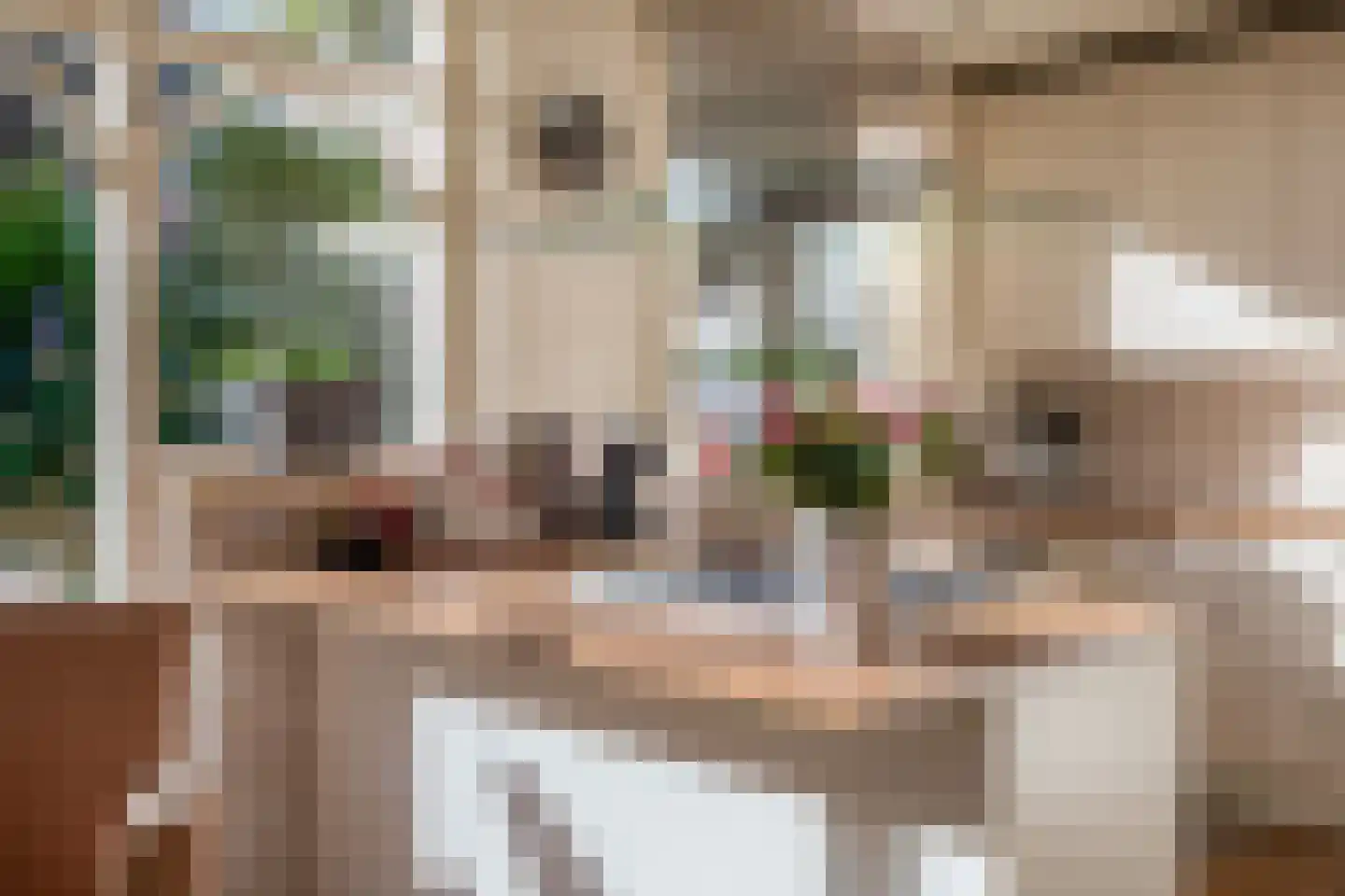 Burgemeester Gescherstraat 3 Waspik thumbnail 16