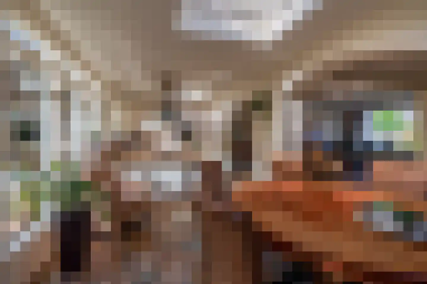 Burgemeester Gescherstraat 3 Waspik thumbnail 18
