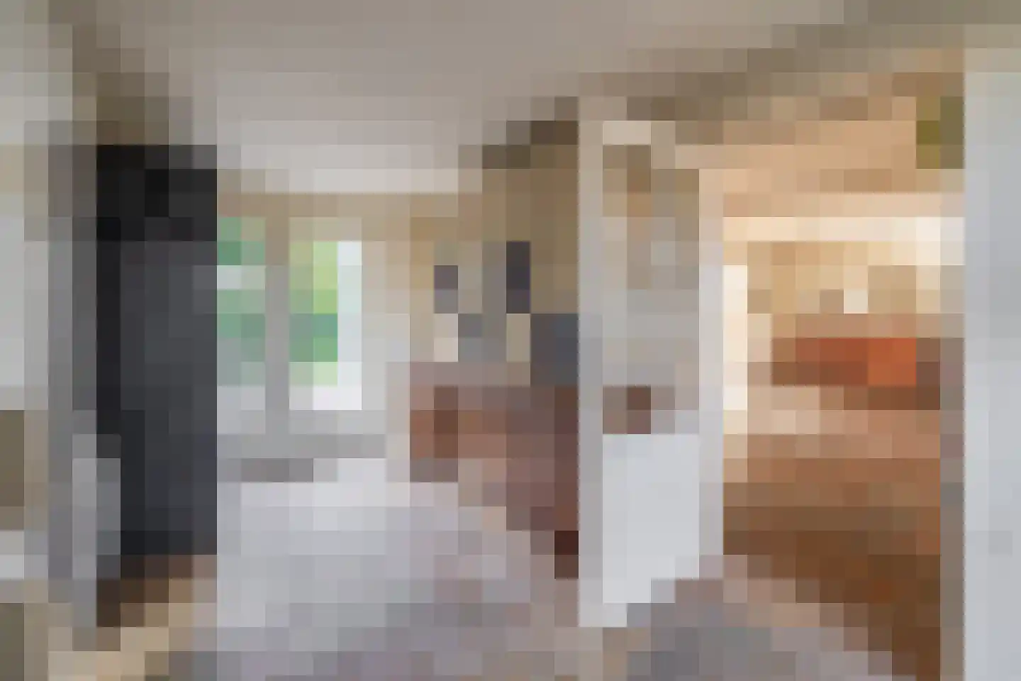 Burgemeester Gescherstraat 3 Waspik thumbnail 19
