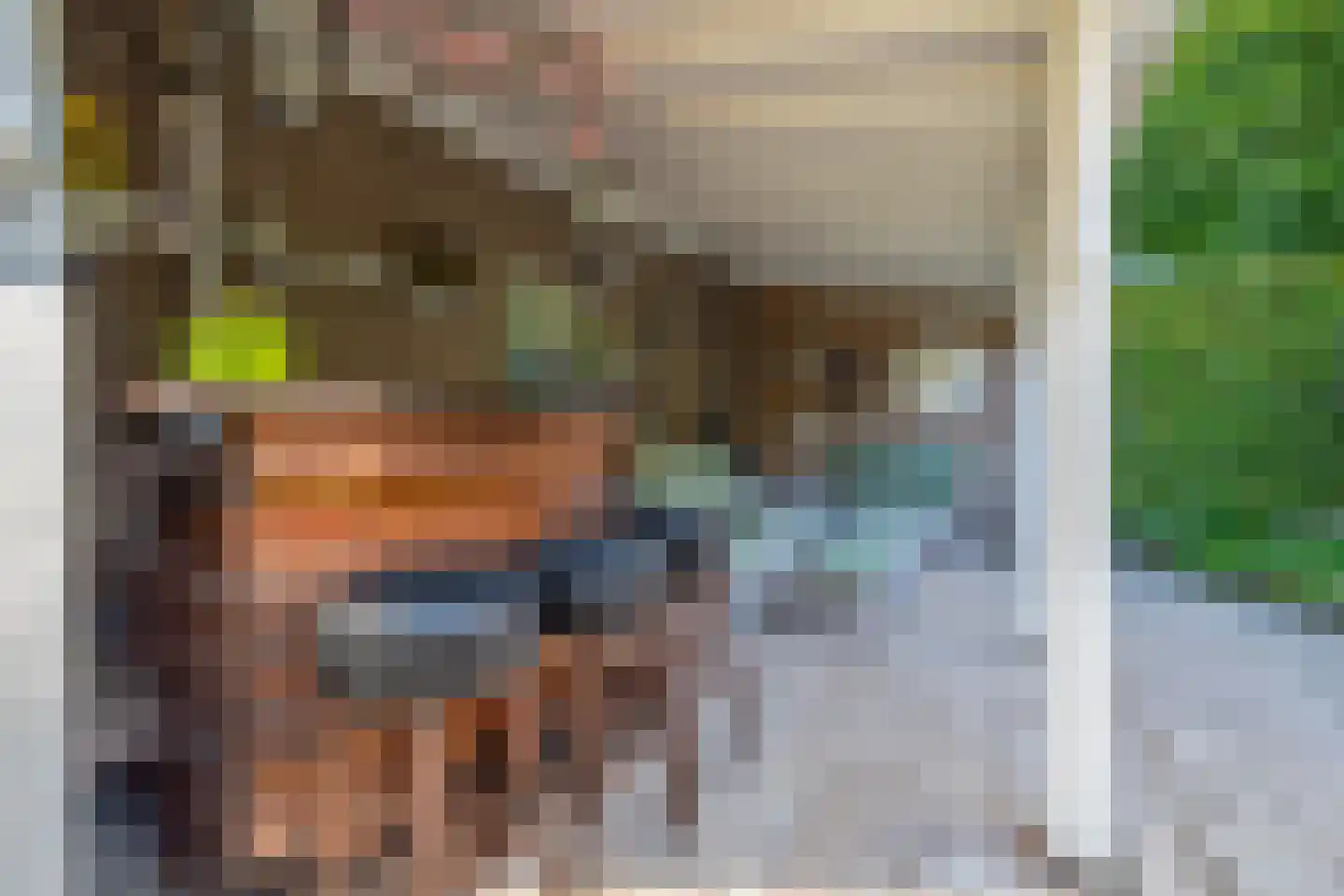 Burgemeester Gescherstraat 3 Waspik thumbnail 21
