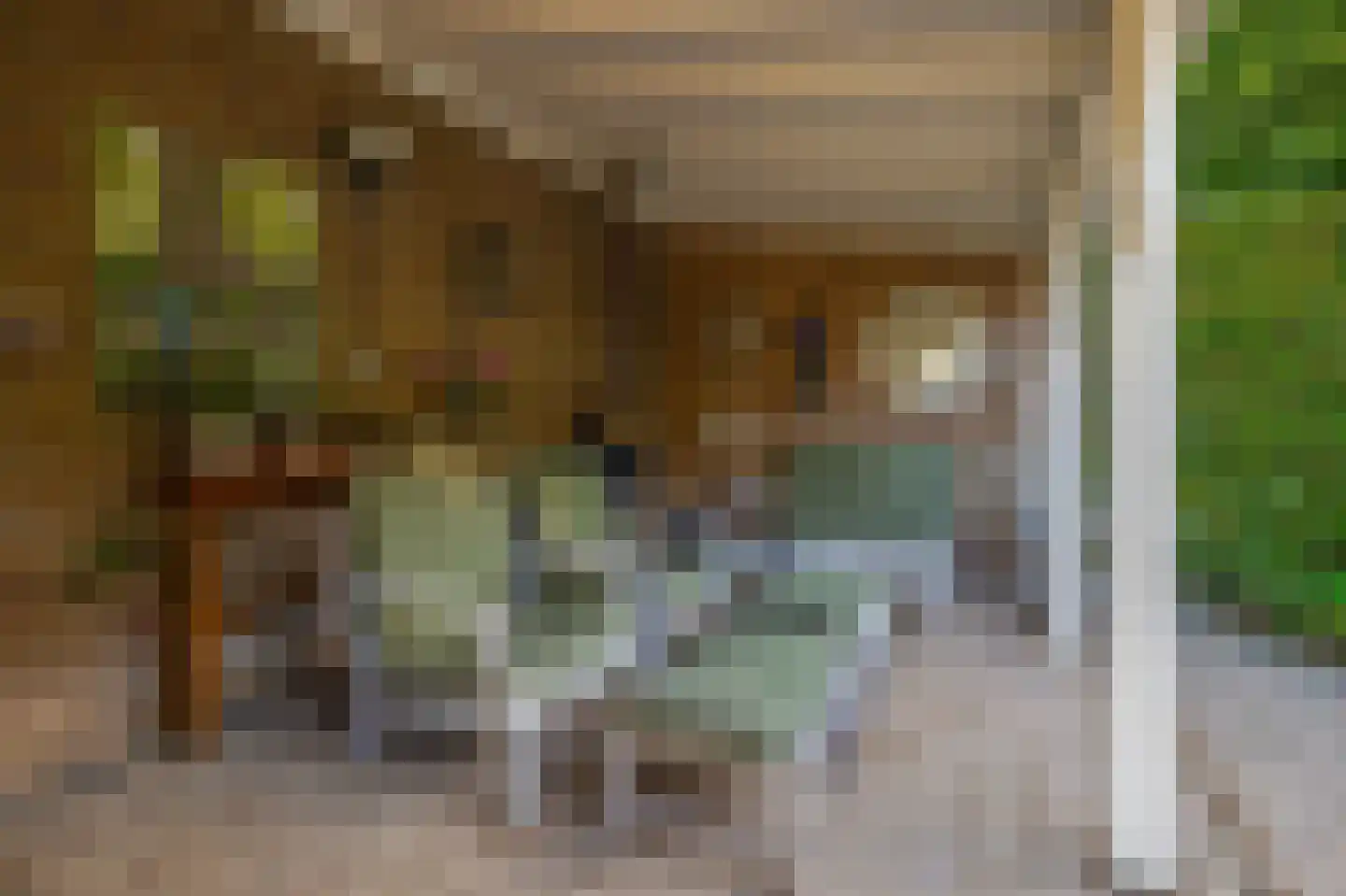 Burgemeester Gescherstraat 3 Waspik thumbnail 22