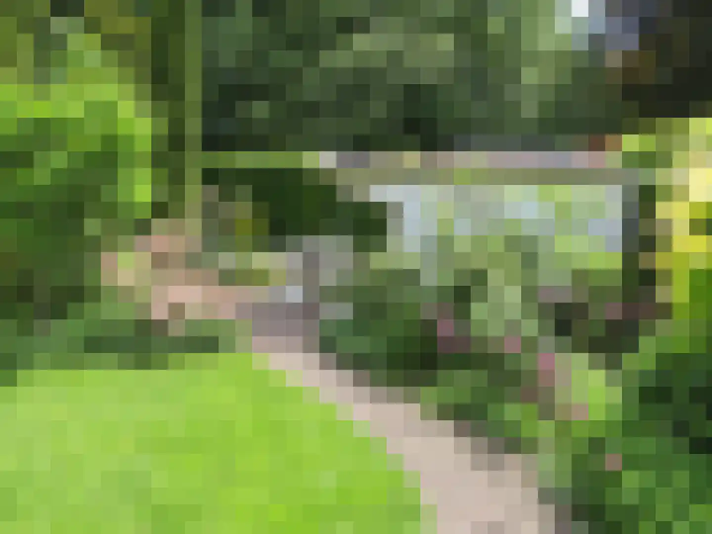 Burgemeester Gescherstraat 3 Waspik thumbnail 31
