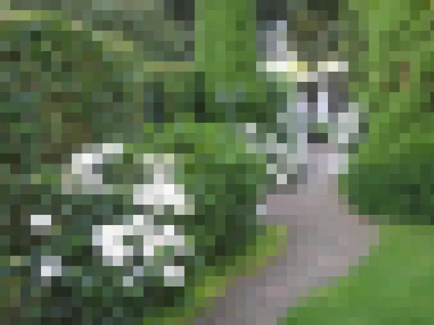 Burgemeester Gescherstraat 3 Waspik thumbnail 32
