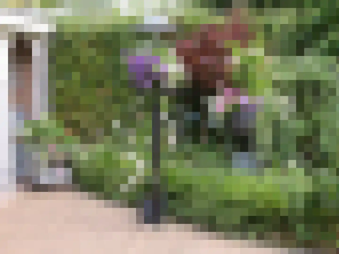Burgemeester Gescherstraat 3 Waspik thumbnail 42