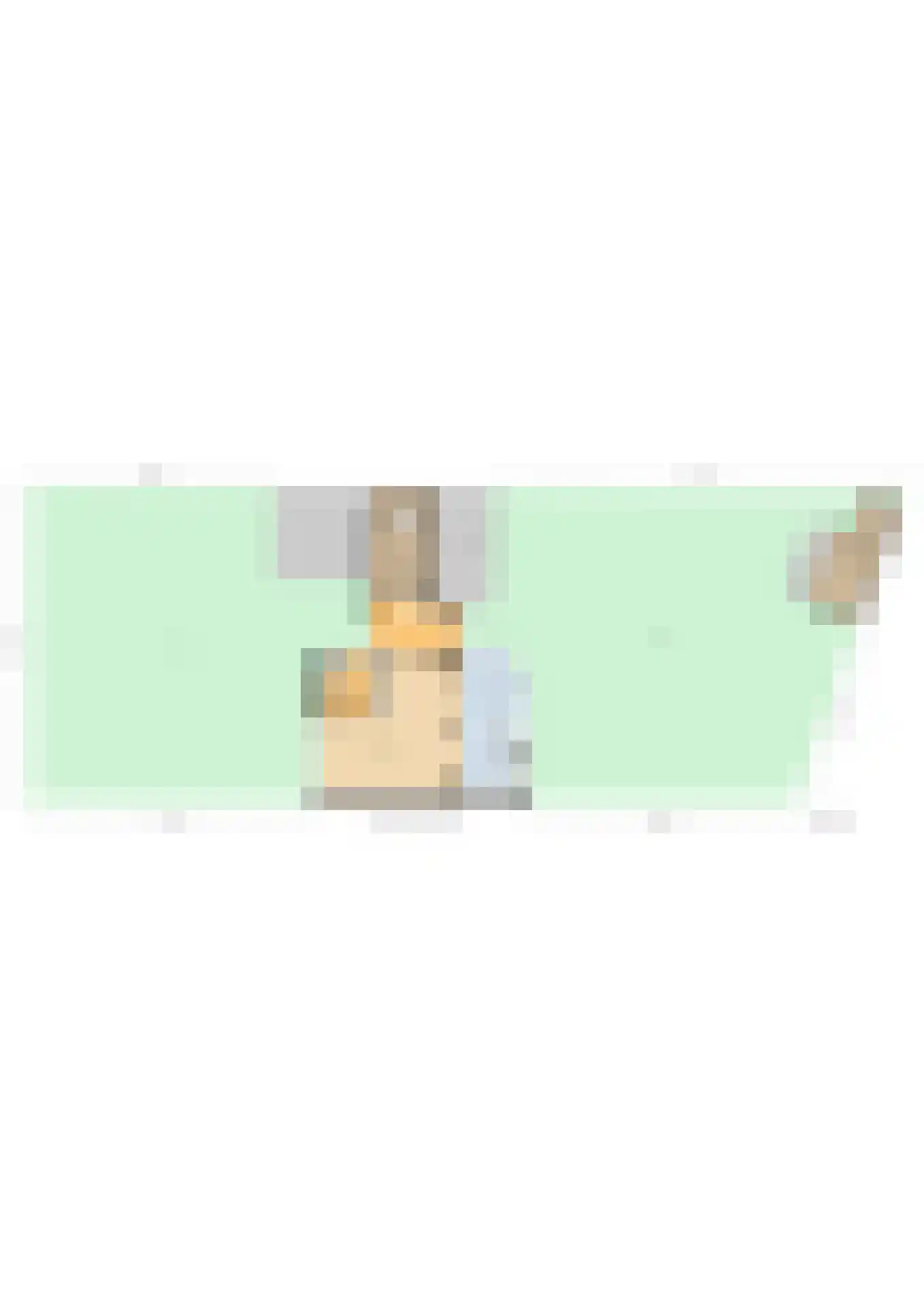 Burgemeester Gescherstraat 3 Waspik thumbnail 49