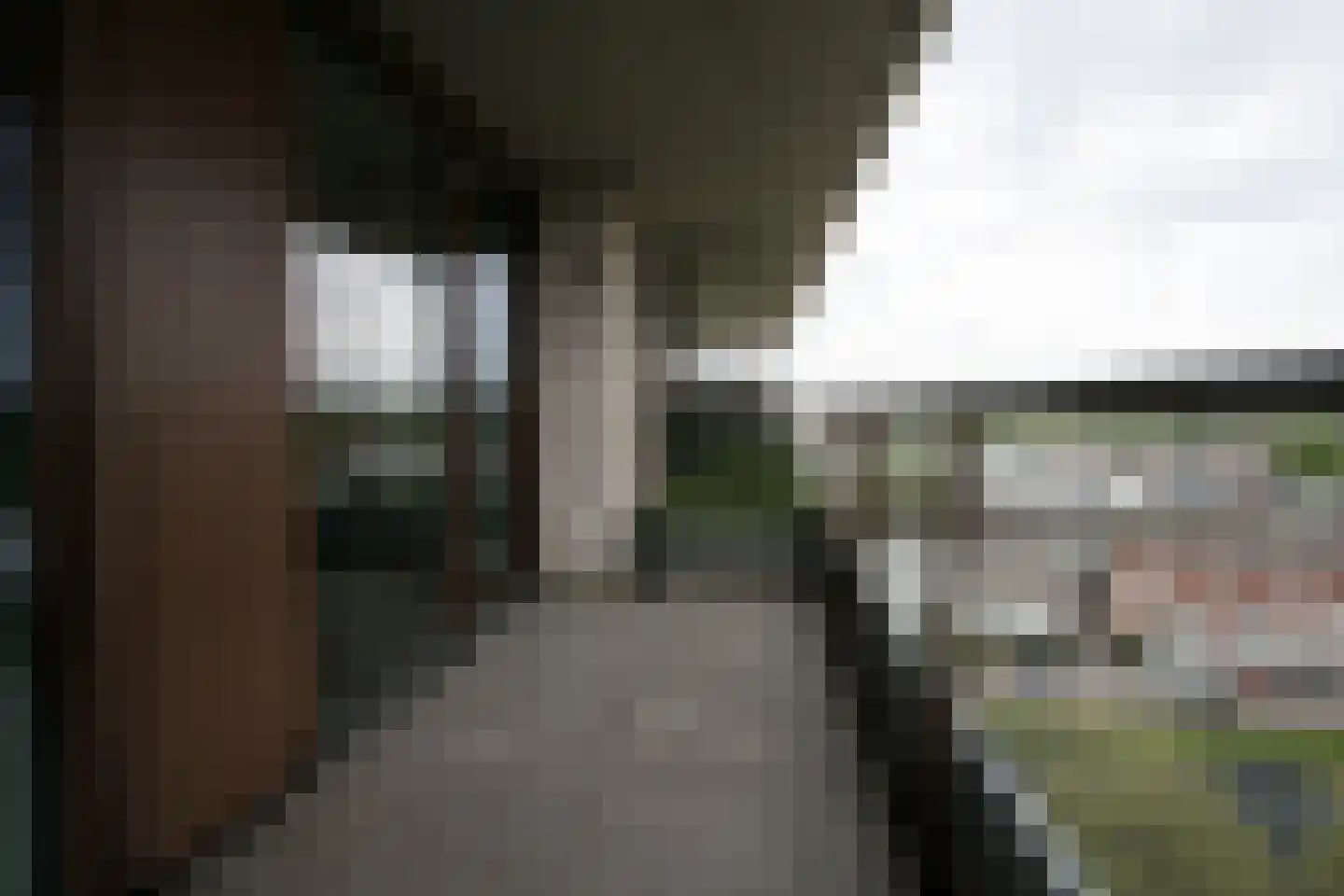 Burgemeester Geukerspark 39 Helmond thumbnail 28