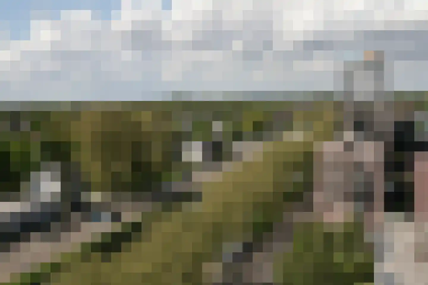 Burgemeester Geukerspark 39 Helmond thumbnail 33