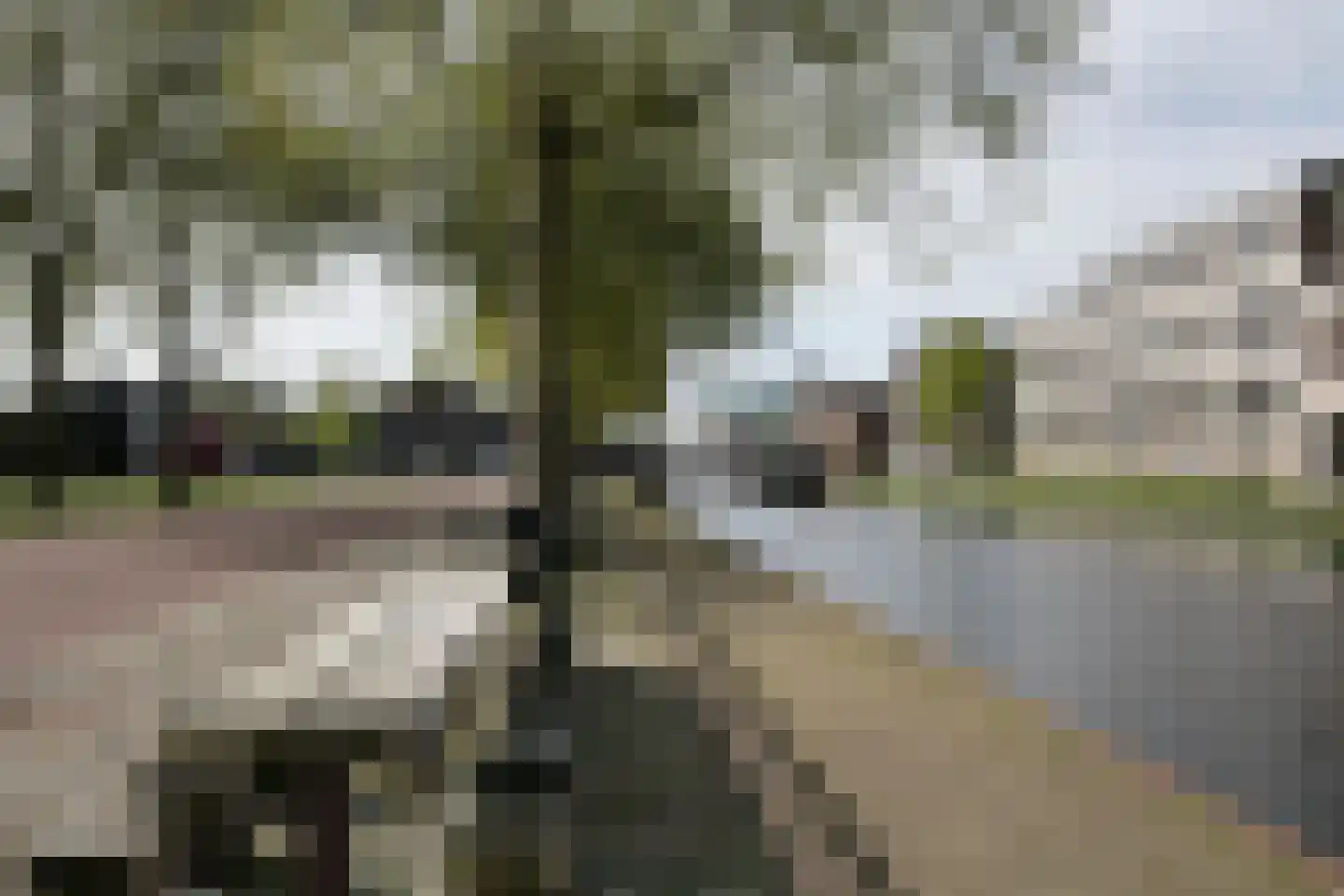 Burgemeester Geukerspark 39 Helmond thumbnail 35