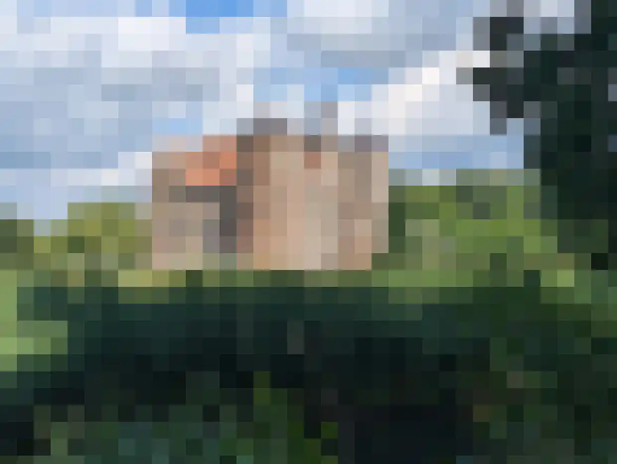 Burgemeester Geukerspark 39 Helmond thumbnail 37