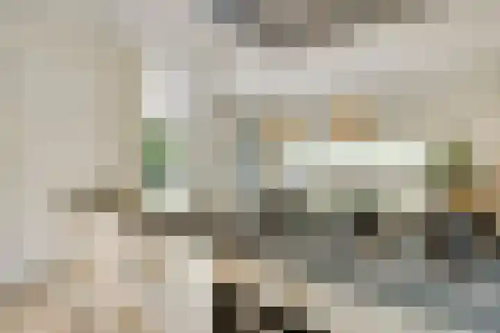 Burgemeester Geurtslaan 36 Heythuysen thumbnail 18