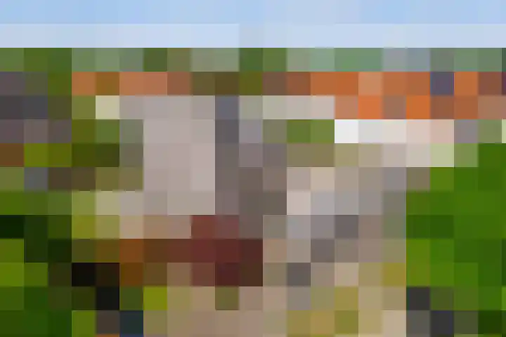Burgemeester Geurtslaan 36 Heythuysen thumbnail 36