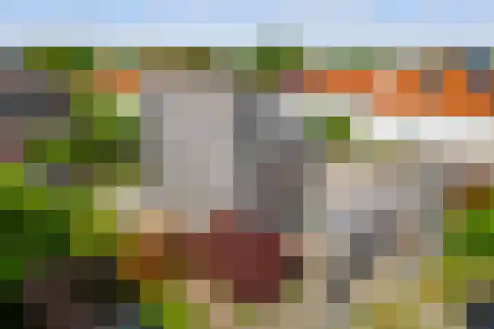 Burgemeester Geurtslaan 36 Heythuysen thumbnail 38