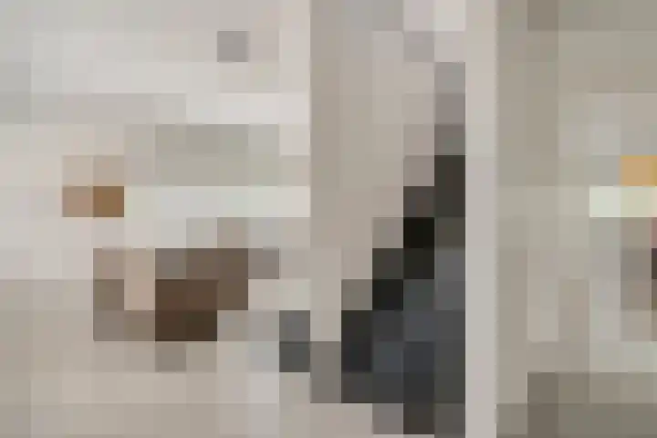 Burgemeester Geurtslaan 36 Heythuysen thumbnail 8