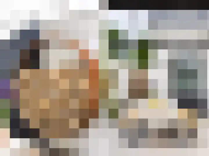 Burgemeester Geuzestraat 43 Aagtekerke thumbnail 41