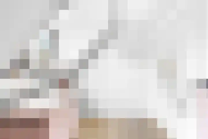 Burgemeester Geuzestraat 43 Aagtekerke thumbnail 44
