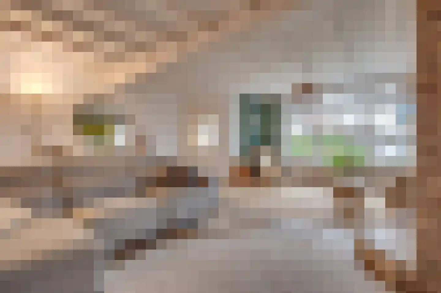 Burgemeester Geuzestraat 45 Aagtekerke thumbnail 9