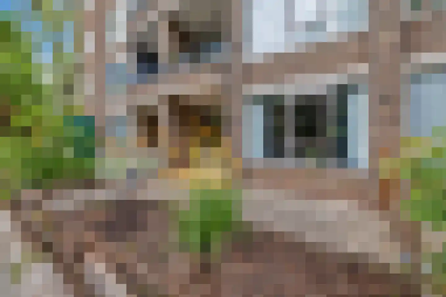 Burgemeester Gijsenlaan 12 Schiedam thumbnail 22
