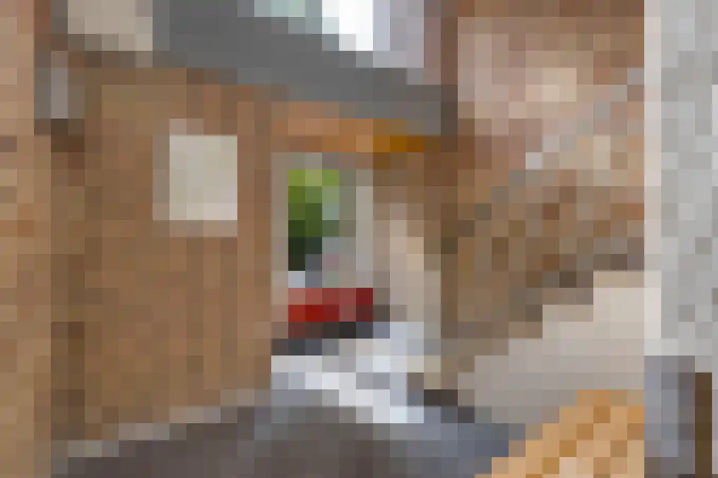 Burgemeester Gijsenlaan 12 Schiedam thumbnail 26