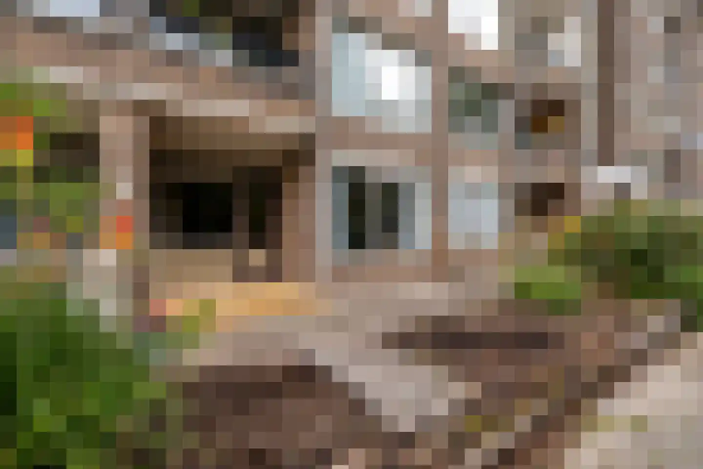 Burgemeester Gijsenlaan 12 Schiedam thumbnail 4