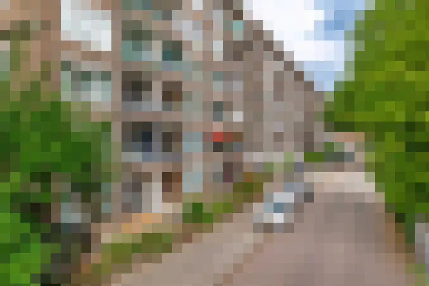 Burgemeester Gijsenlaan 13 Schiedam thumbnail 24