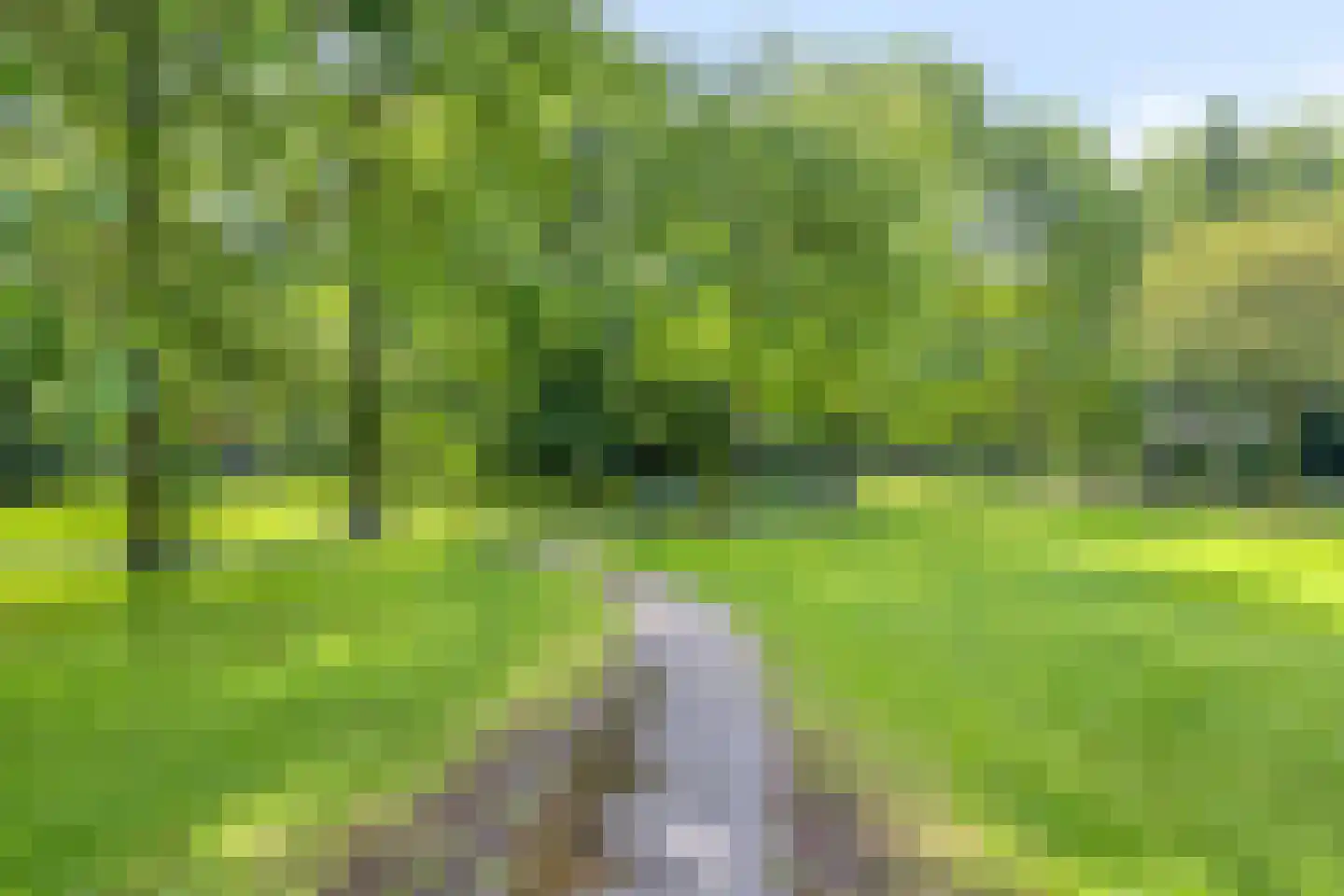 Burgemeester Gijsenlaan 42 Schiedam thumbnail 18