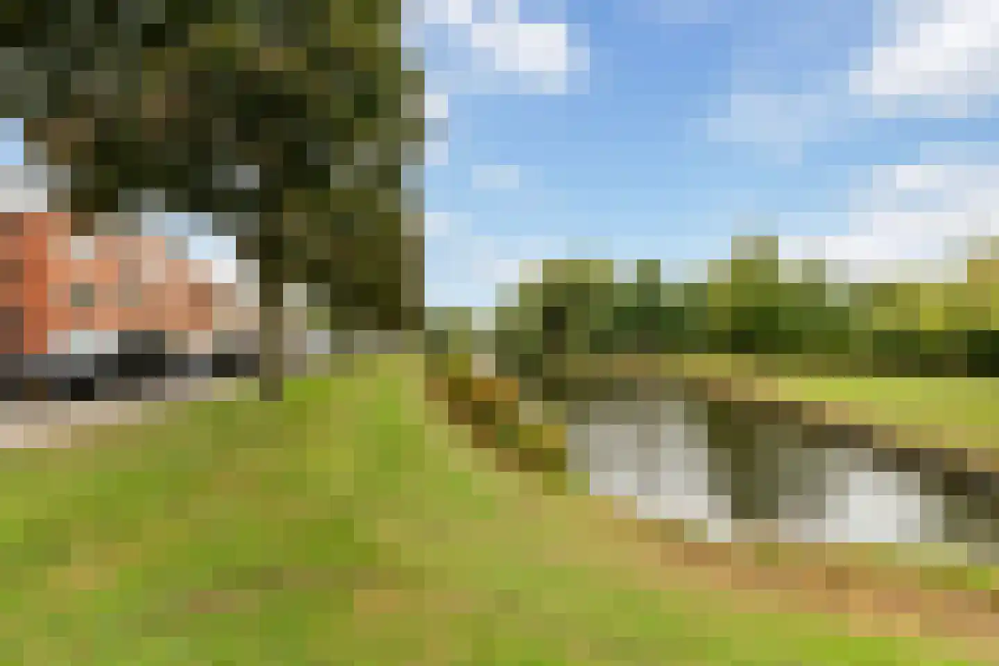 Burgemeester Gijsenlaan 43 Schiedam thumbnail 19