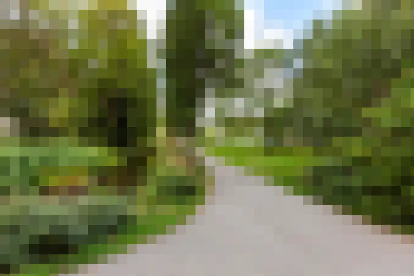 Burgemeester Gijsenlaan 63 Schiedam thumbnail 24