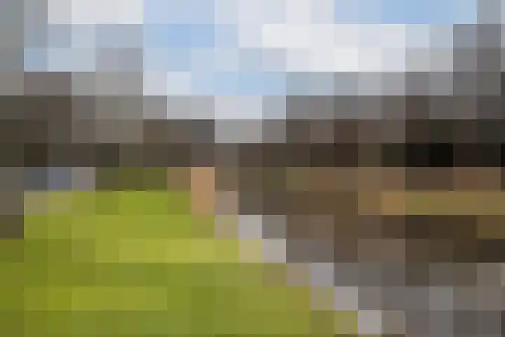Burgemeester Gijsenlaan 72 Schiedam thumbnail 21