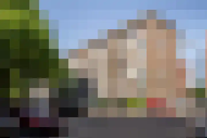 Burgemeester Gijsenlaan 72 Schiedam thumbnail 24