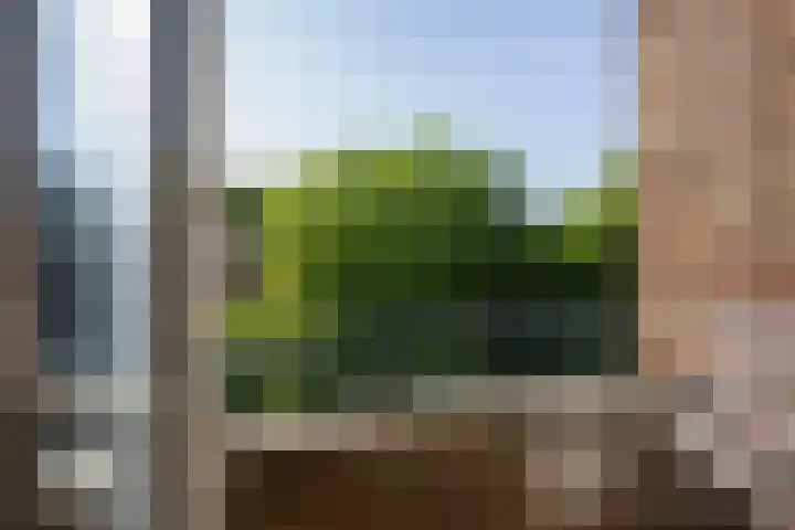 Burgemeester Gijsenlaan 72 Schiedam thumbnail 4
