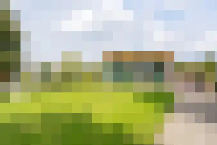 Burgemeester Gijsenlaan 72 Schiedam thumbnail 5