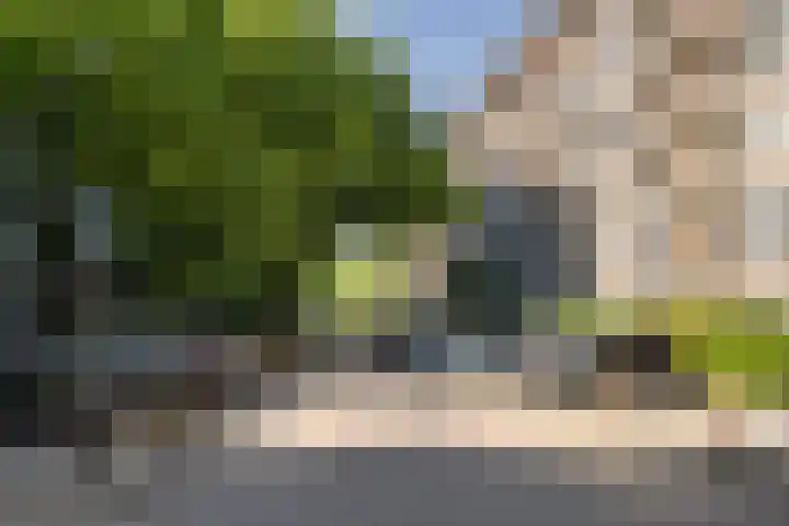 Burgemeester Gijsenlaan 72 Schiedam thumbnail 6