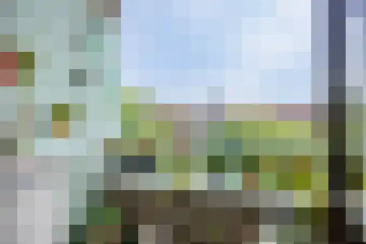 Burgemeester Gijsenlaan 81 Schiedam thumbnail 4