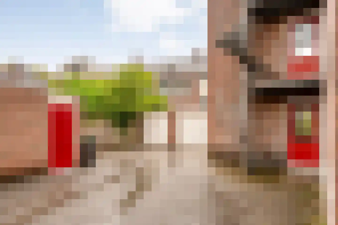 Burgemeester Goeman Borgesiusstraat 27 Steenwijk thumbnail 41
