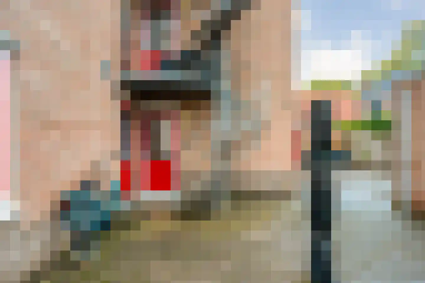 Burgemeester Goeman Borgesiusstraat 27 Steenwijk thumbnail 43