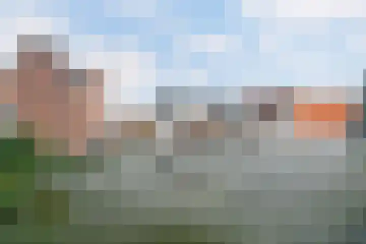 Burgemeester Goeman Borgesiusstraat 34 C Steenwijk thumbnail 26