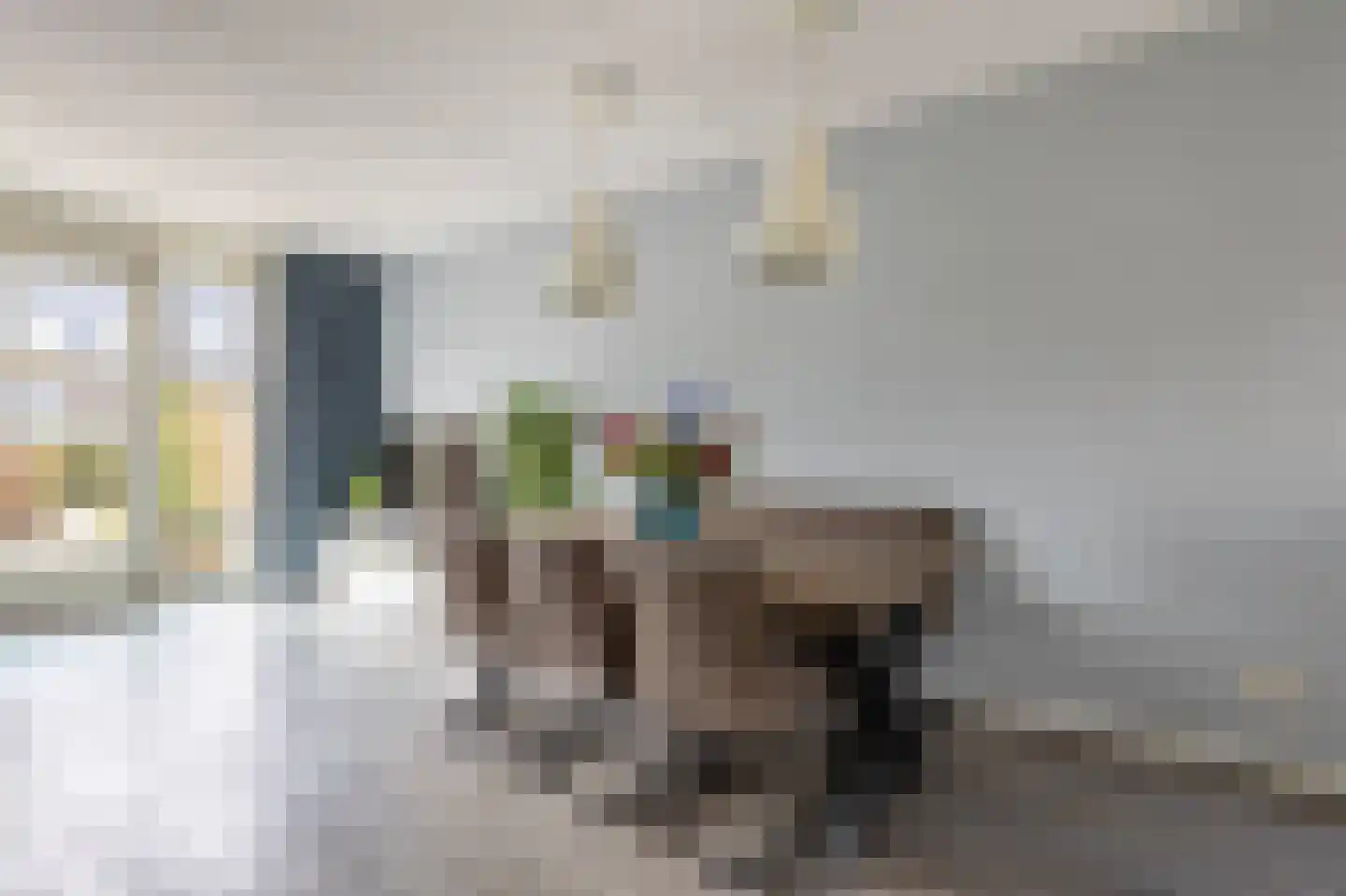 Burgemeester Groenenbergstraat 3 Driebruggen thumbnail 14